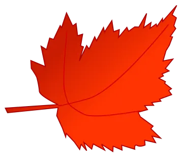 a red maple leaf