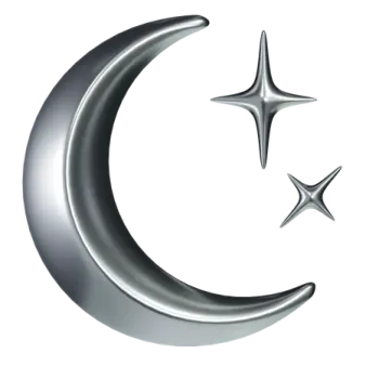 a crescent and star icon
