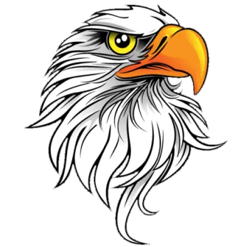 an eagle's head with yellow eyes