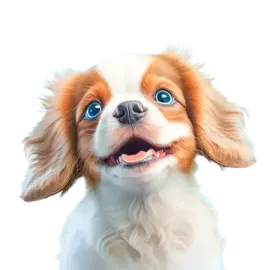 a brown and white dog with blue eyes