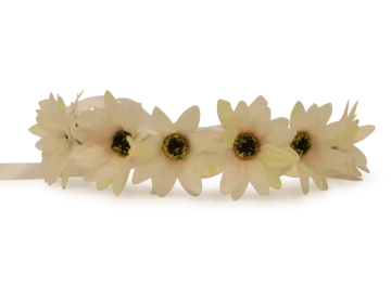 a pair of flowers on a white background