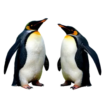 two penguins standing next to each other penguins