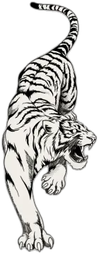 a black and white drawing of a tiger