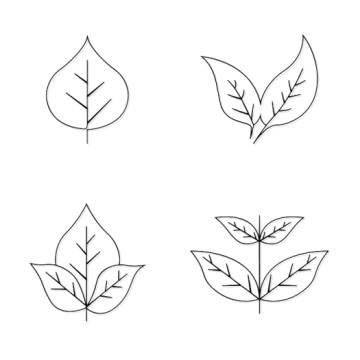 a set of four different leaves