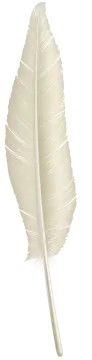 an image of a white feather