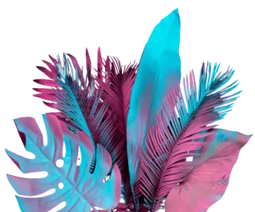 a pink and blue plant with leaves on it