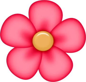 a pink flower on a white background