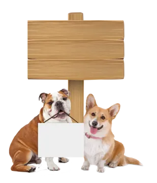 two dogs sitting next to a blank sign