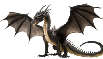 a black dragon with its wings spread out