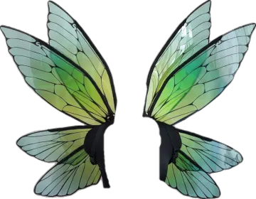 two green and black butterfly wings