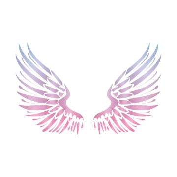a pair of pink and blue wings