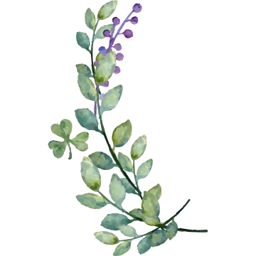 a watercolor painting of a branch with green leaves
