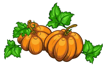 a bunch of pumpkins with green leaves