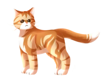 a brown and white cat standing on a white background