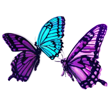 two purple butterflies on a white background