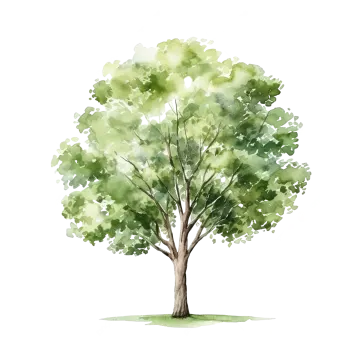 a watercolor painting of a tree