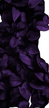 a bunch of purple leaves on a white background