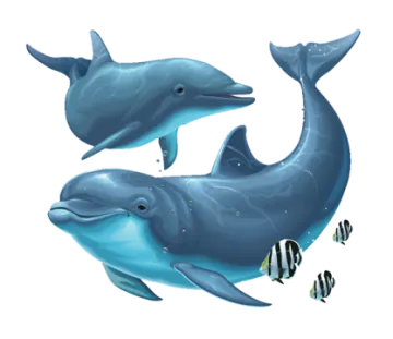 two dolphins swimming in the ocean