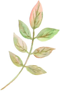 a watercolor painting of a green leaf