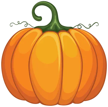 a pumpkin on a white background