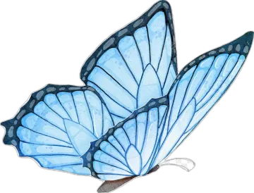 a watercolor drawing of a blue butterfly