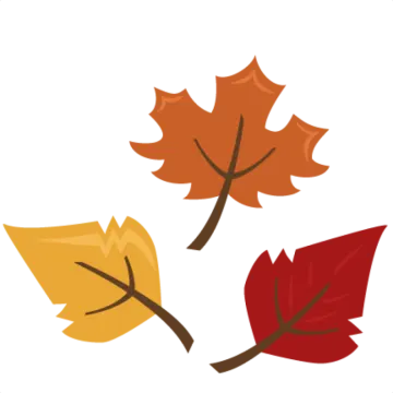 three autumn leaves on white background