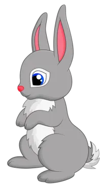 a gray rabbit sitting on the ground
