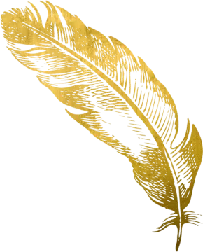 a gold feather on a white background
