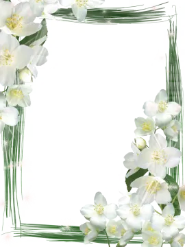 a frame with white flowers on a white background