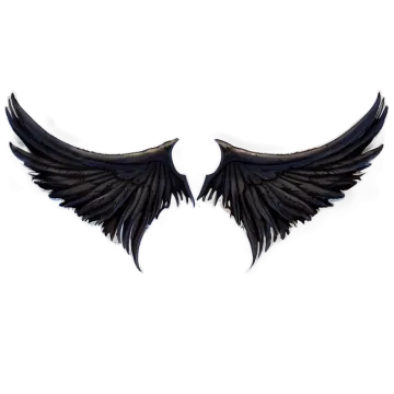 a pair of black wings