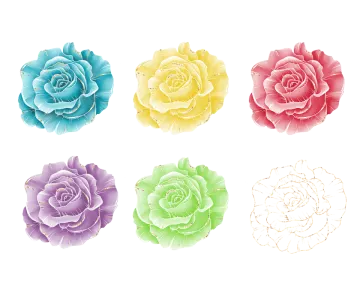 a set of four different colored roses