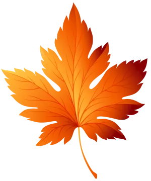 an orange maple leaf