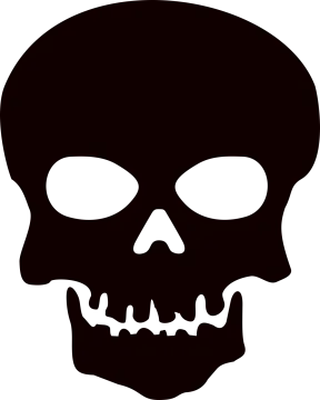 a skull silhouetted on a white background