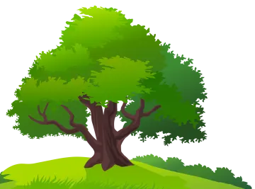 a green tree on a white background