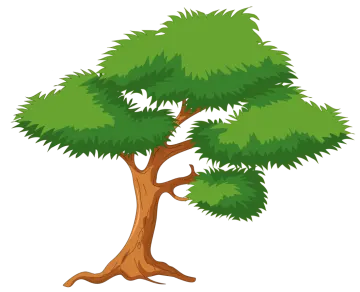 a tree on a white background