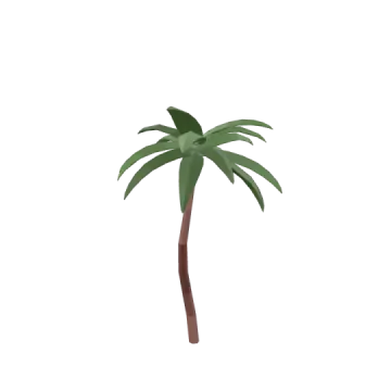 a palm tree on a white background