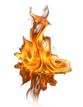 fire on a white background