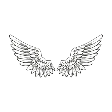 a pair of wings on white background