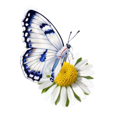 a blue and white butterfly sitting on top of a flower