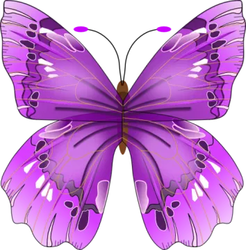 a purple butterfly on a white background