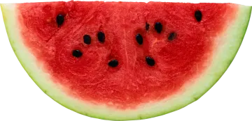 a slice of watermelon