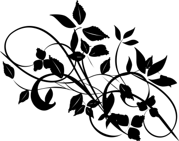 a black and white silhouette of leaves