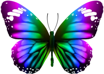 a colorful butterfly on a white background