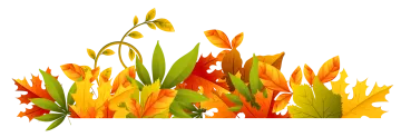 a bunch of colorful autumn leaves