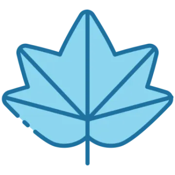 a blue maple leaf