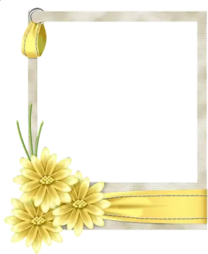 yellow flowers on a white background