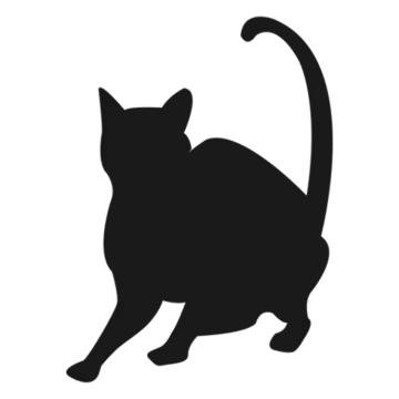 a black cat silhouette on a white background