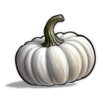 a white pumpkin sitting on top of a table