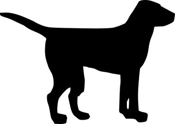 a black and white silhouette of a dog