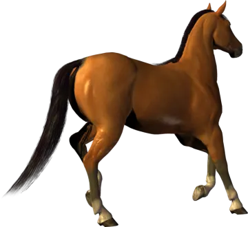 the horse is brown